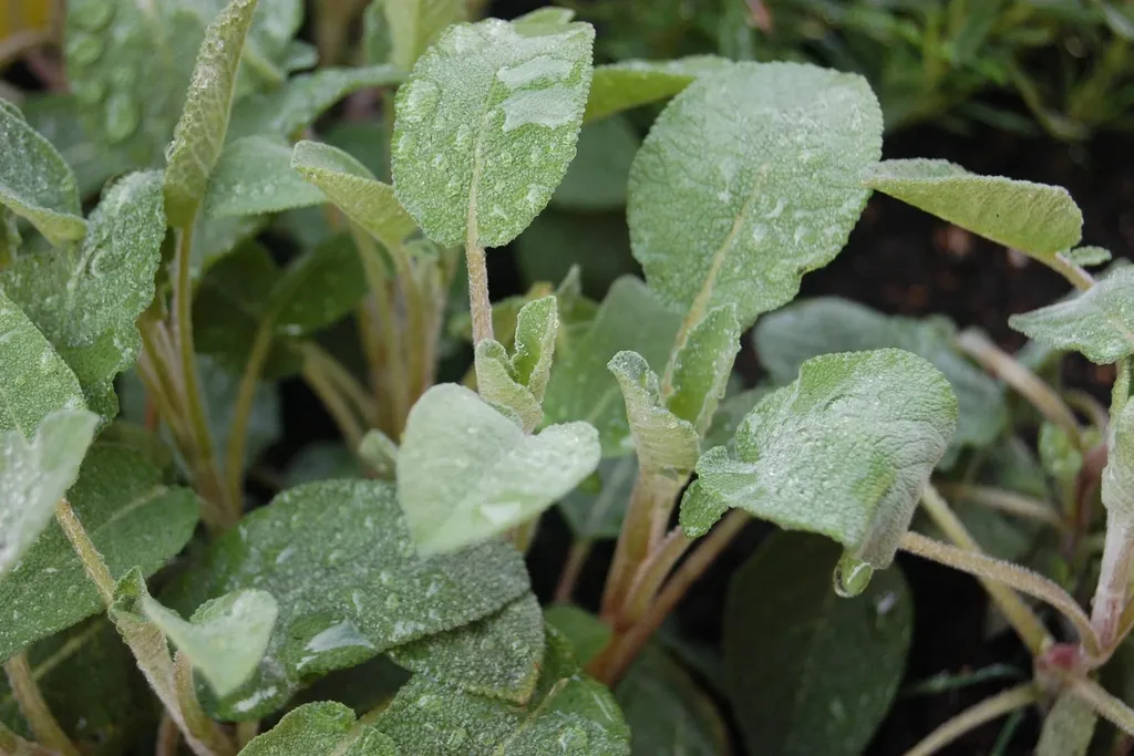 Lose Lebensmittel in Gläsern im Unverpackt Laden MutternaturLaden