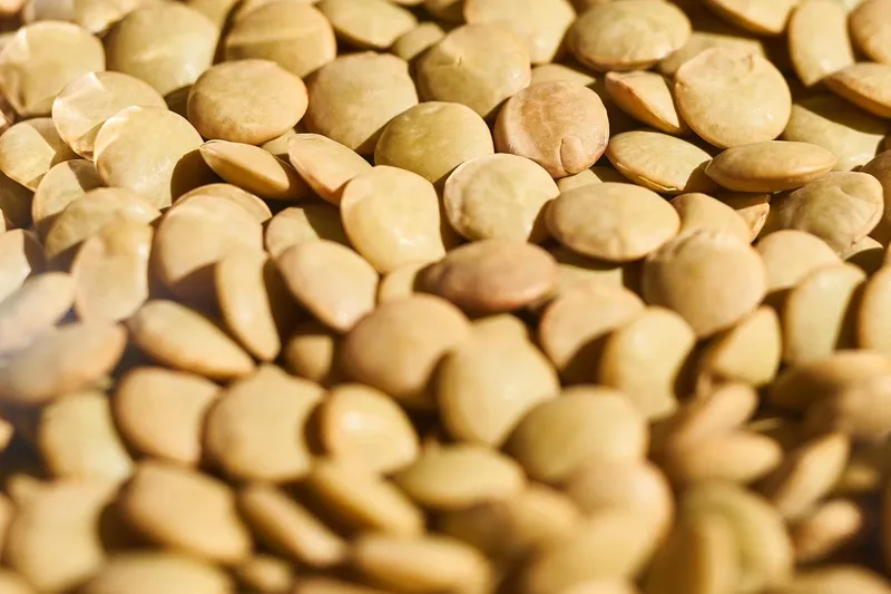 Deftiger Linseneintopf vegan mit Karotten