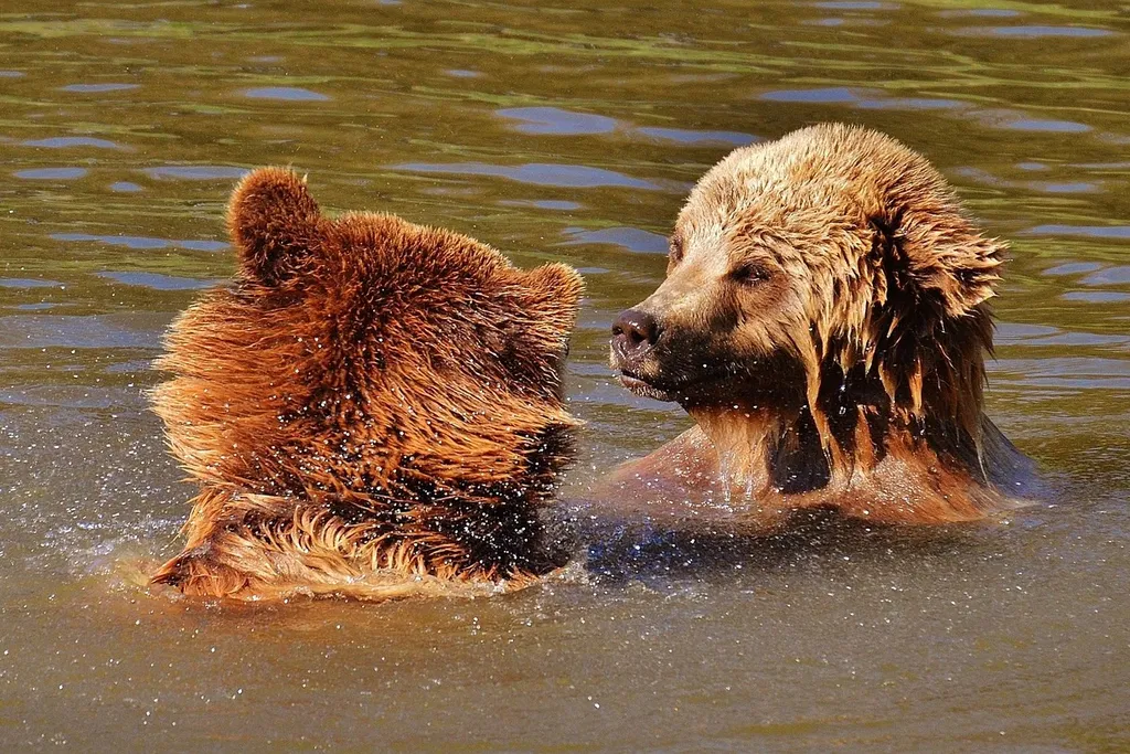 Ausflugsziel Wildpark Forstenried
