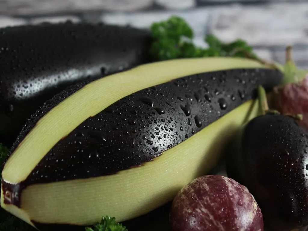 Gebackene Aubergine mit Tomaetensoße und Joghurt-Dip