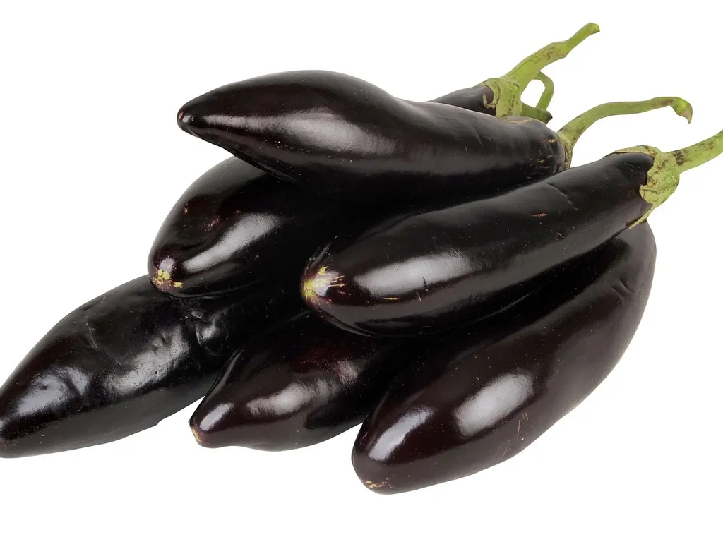 Aubergine mit Tomatensoße in Auflaufform