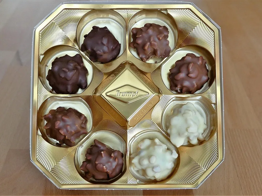 Zuckerfreie Pralinen aus Datteln und Kokosflocken
