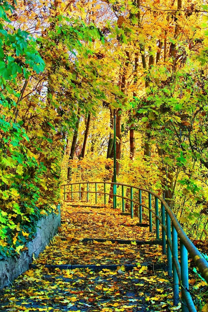 Herbst Spaziergänge rund um München